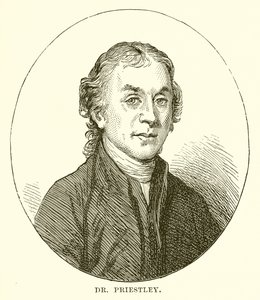 Doktor Priestley by English School