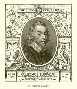 William Harvey by English School