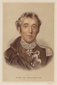 Wellington Dükü (renkli taş) by English School