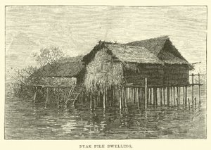 Ördek Kabuğu by English School
