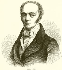 kont gri by English School
