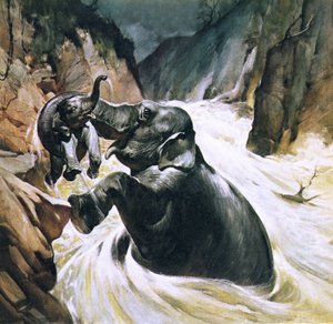 Fil yavrusunu kurtardı by English School