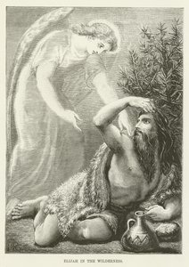 İlyas vahşi doğada by English School