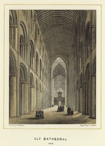 Ely Katedrali, nef by English School