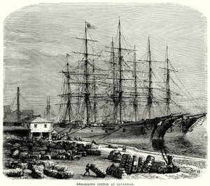 Savannah