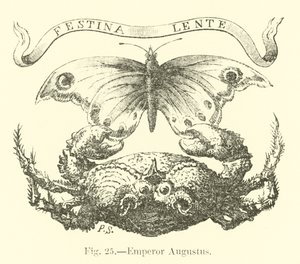 İmparator Augustus by English School