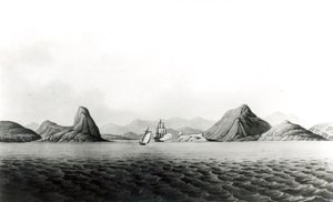 Rio de Janeiro Limanı Girişi (bw print) by English School