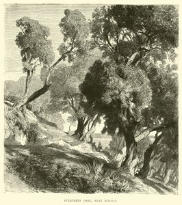 Sciacca yakınında Evergreen Oaks by English School