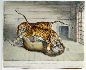 Olağanüstü ve Ölümcül Savaş, 1830 (renkli taş) by English School