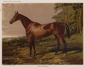 Fair Nell (renkli taş) by English School