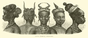 Fanti (Elmina) Saç Modelleri by English School
