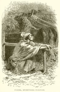 Faxiba, daha sonra Fide-Yosi by English School