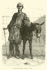 Fellah, Arap; eşek çocuk by English School