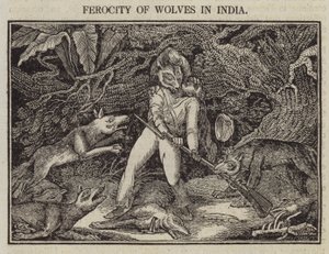 Hindistan