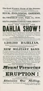 Çiçek Festivali ve Dahlia Gösterisi by English School