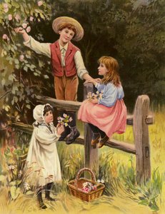 Tarla Çiçekleri (renkli lito) by English School