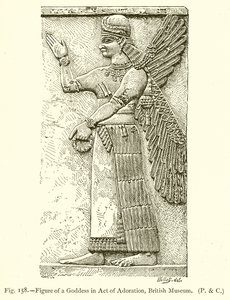 Hayranlık Yasası