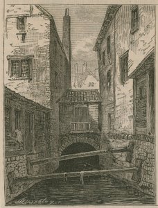 Filo Çukuru by English School