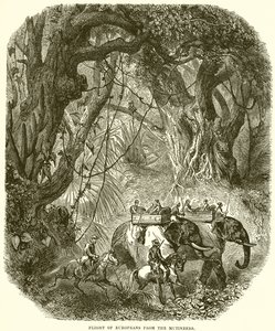 Avrupalıların İsyancılardan Kaçışı by English School