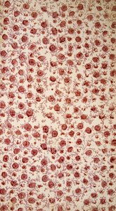 Çiçekli Endpaper (el renkli gravür) by English School