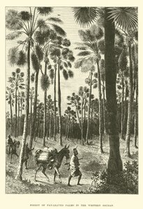 Batı Sudan