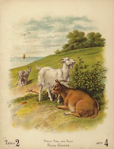 Dört Keçi (chromolitho) by English School