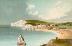 Tatlı Su Körfezi - Wight Adası by English School