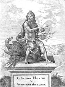 1651