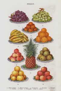 Meyve (chromolitho) by English School