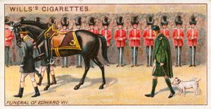 Kral Edward VII