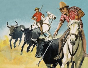 Camargue Gardiyanları by English School
