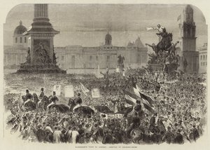 Garibaldis