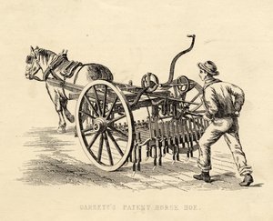 Garretts Patentli At Çapa by English School