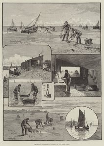 Essex Sahilinde Kırışıklıkların Toplanması (gravür) by English School