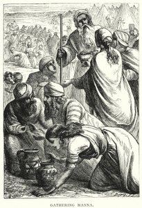 Manna Toplama (gravür) by English School