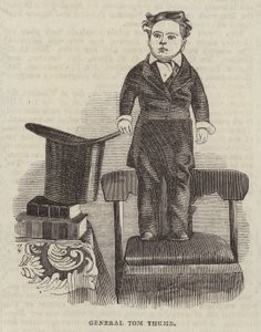 General Tom Thumb (gravür) by English School