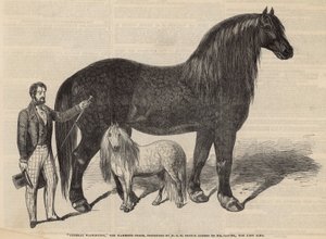 General Washington, mamut at by English School