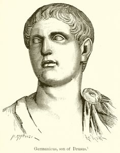 Drusus