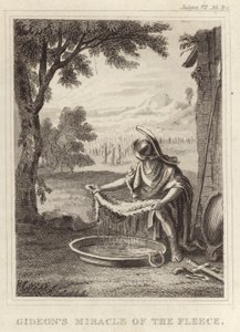 Gideons Polar Mucizesi by English School