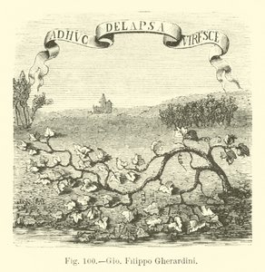 Giovanni Filippo Gherardini by English School