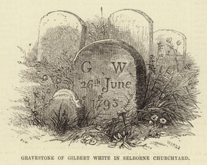 Gilbert White