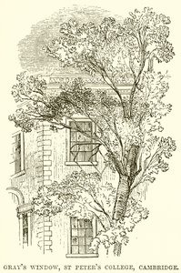 Griler Penceresi, St Peters Koleji, Cambridge by English School