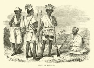 Fula Grubu by English School