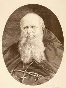 Guglielmo Massaia (litho) by English School