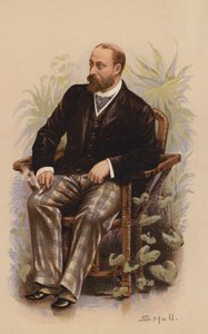 HRH Galler Prensi, geleceğin Kralı VII Edward (renkli taş baskı) by English School