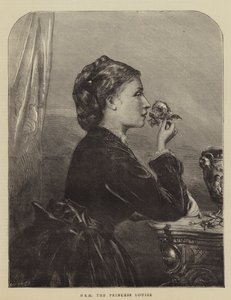 SAİK Prenses Louise (gravür) by English School