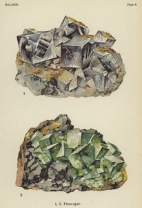 Haloidler, fluor-spar (renkli taş) by English School