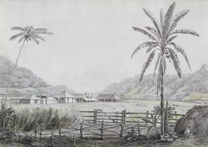 Halse Hall, Jamaika, c.1780 (kağıt üzerinde wc ve grafit) by English School