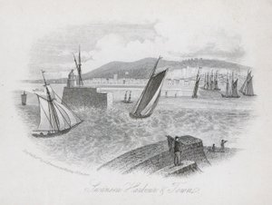 Liman ve kasaba, Swansea, Galler (gravür) by English School