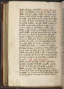 Harley MS 2378 Tıbbi ve mutfak tarifleri, c.1395 (parşömen üzerine mürekkep) by English School